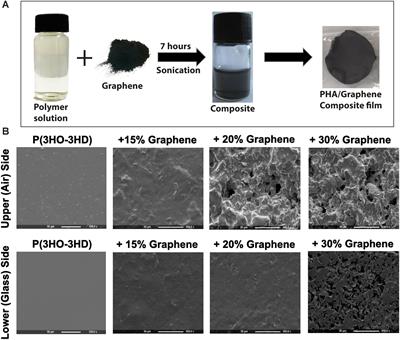 Toward a Closed Loop, Integrated Biocompatible Biopolymer Wound Dressing Patch for Detection and Prevention of Chronic Wound Infections